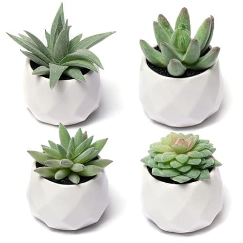CADNLY Fake Succulent Plant Set - Artificial Plants for Women Desk - Realistic Faux Succulents in Ceramic Pots - Mini Green Decor for Bedroom Bathroom Office Shelf 4 Pack - Image 1