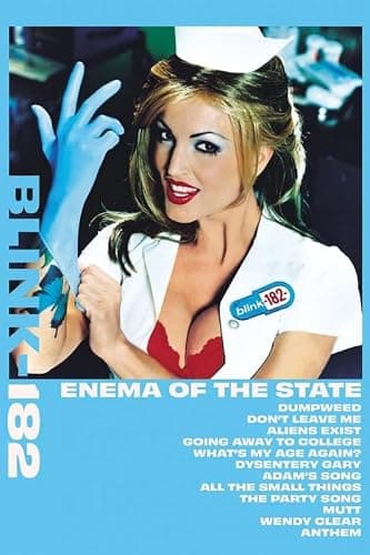 ⭐⭐⭐ Blink 182 - Enema Of The State Art Poster - 24 x 36 Inch - Decorative Print - Poster Paper - Ready to Frame - Image 1