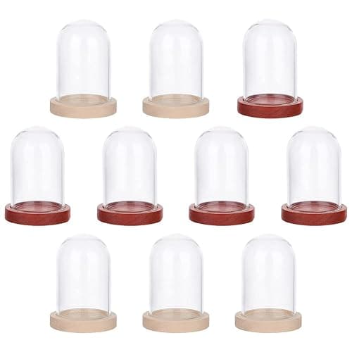 NBEADS 10 Sets Mini Eternal Flower Glass Dome Cloche, Clear Glass Display Case with 2 Colors Wooden Base Bell Jar Cloche for Valentine's Day Mother's Day Flower Decorations Crafts, 1.6x1 - Image 1