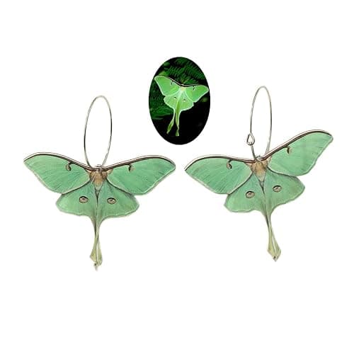 Moth Butterfly Earrings.Punk Insect Drop Earrings Color Acrylic Moth Wing Earrings Statement Black Earrings Party Jewelry for Women - Image 1