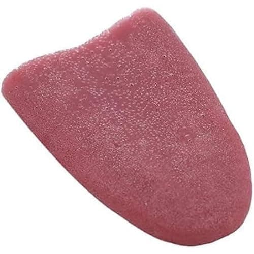 Zenarao Realistic Fake Tongue Gross Jokes Prank Magic Tricks Halloween Horrific Magicians Props Fashion Processing Magic Kits - Image 1
