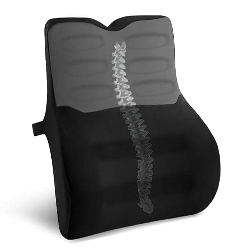 Quirlig Coussin Lombaire Voiture, Coussin de Soutien Lombaire, Mousse à Mémoire de Forme Coussin Dorsal Ergonomique pour Bureau Chaise, Noir - Image 1