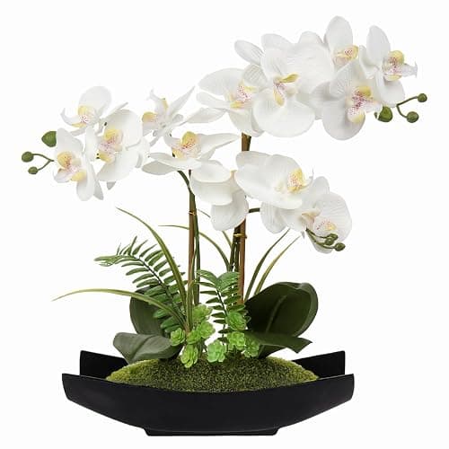Briful Orchid Artificial Flowers 15in White Fake Orchid Silk Flowers with Black Pot Faux Phalaenopsis Arrangement for Home Office Room Table Centerpiece Modern Decor - Black White - Image 1