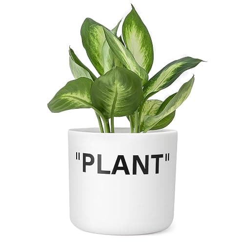 TwoDays Off-White Inspired Sneaker Planter, Hypebeast Room Decor, Small 5 Inch Cylinder White Plastic Indoor Plant Pot with Built in Drainage Hole, Mini Flower Pot, Sneakerhead Gift. - Image 1