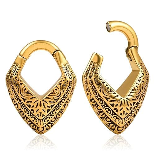 DOEARKO 2PCS Fashion Hoops Ear Hanger Weights Ear Stretcher Tunnels Plugs Gauges Expanders Piercing Body Jewelry - Image 1