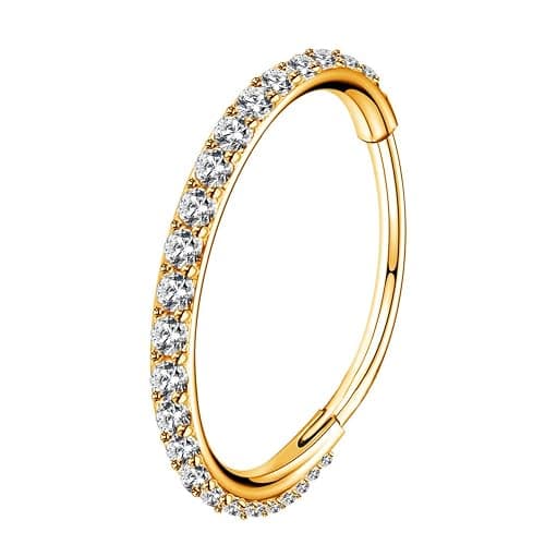 OUFER Gold Hinged Segment Earring Hoop 16G Stainless Steel with Cartilage Earrings Clear CZ Paved Tragus Helix Earrings Cartilage Earring Septum Nose Ring Hoop - Image 1