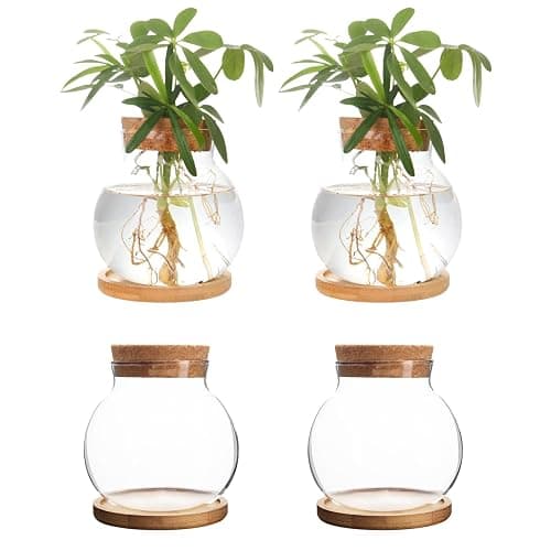 CHPINDAM Plant Propagation Station,Hydroponic Glass Container Vase Jars, with Wooden Saucer for Desks, Houses, Garden Decorations, Home Kitchen Decorations and Gifts for Plant Lovers (4) - Image 1