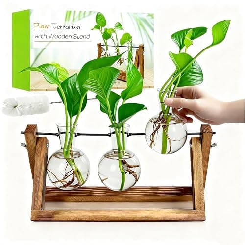 Renmxj Plant Propagation Station, Plant Terrarium with Wooden Stand, Unique Gardening Birthday Gifts for Women Plants Lovers, Home Office Garden Decor Planter - 3 Bulb Glass Vases - Image 1