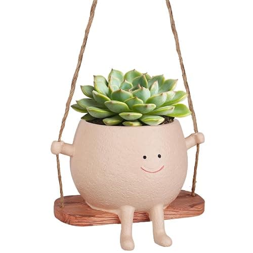 AFFLAT Smiley Face Flower Pot,Swinging Hanging Planter,Resin Smiley Face Hanging Pot,Cute Swinging Planter with Unique Design,Suitable for Indoor & Outdoor Decoration,an Ideal Gift for Festivals - Image 1
