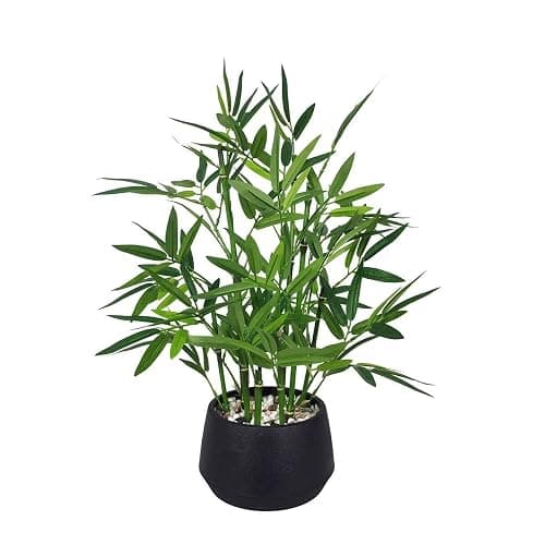 365 Blooming Decor 18-inch Tall Potted Faux Bamboo Plant (Black Pot) - Luxury Artificial Bamboo in Black Textures Pot for Home, Office, Kitchen, Counter Top, Indoor Decor, Money Tree, Lucky Tree - Image 1