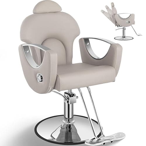 Tythical Reclining Salon Chair, Hydraulic Barber Styling Chair for Hair Stylist, 360 ° Swivel Hair Braiding Hairdresser Chairs, Height Adjustable Spa Beauty Equipment for Barbershop, Grey Silver - Image 1