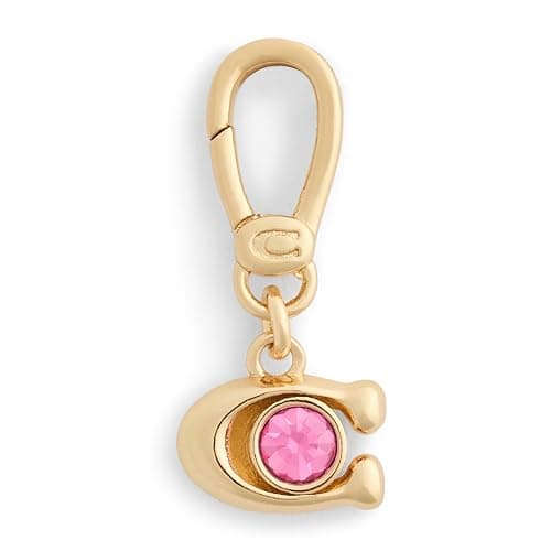 COACH Women's Collectible Signature Jewelry Charm - Image 1