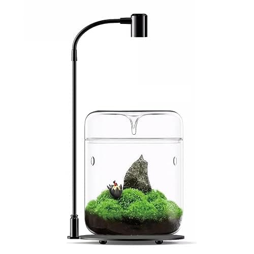 Glass Plant Terrarium 4.7"X7" Inches Succulent Air Planter Fern Moss Micro-Landscape Vase for Home Office Tabletop Decoration Container with Lid Indoor Wardian Copyright Patent(with Light) - Image 1