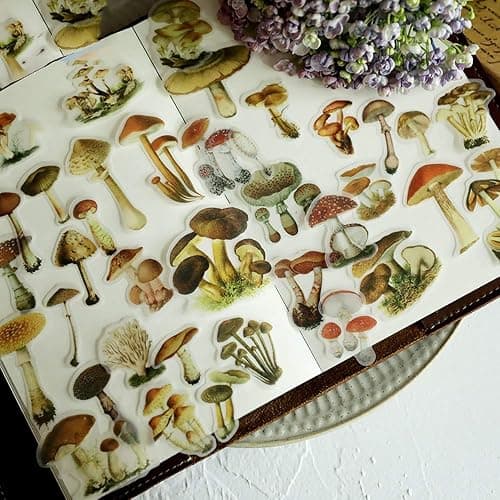 Doraking Mushroom Stickers - 100PCS Waterproof Paper Decals for Scrapbook Decoration, Sulfuric Adhesive, Irregular Shape, All in One Variety Pack - Image 1