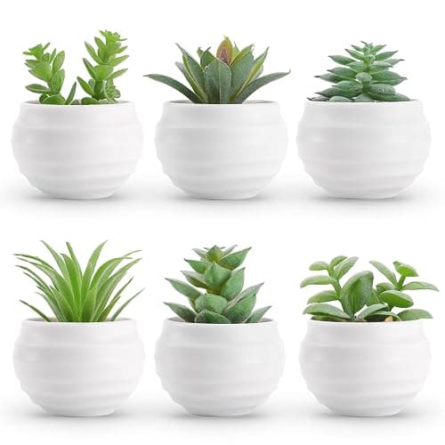 Der Rose Set of 6 Succulents Plants Artificial in Pots Small Fake Plants for Bedroom Aesthetic Living Room Shelf Bathroom Decor Office Desk Accessories - Image 1