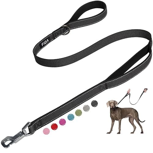 Fida Heavy Duty Dog Leash for Medium Large Dogs, 5 FT, Dual Padded Handles | Traffic Handle for Close Control, Advanced Easy Snap Hook, Reflective, Strong Nylon Webbing for Daily Walks & Training, Black - Image 1