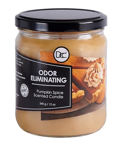 Pumpkin Spice Odor Eliminating Highly Fragranced Candle - Image 1