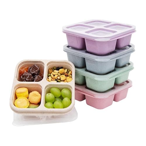 rngwaper 5 Pack Bento Lunch Box,4 Compartment Snack Containers,Divided Bento Snack Box,Meal Prep, Lunch Box Kids/Toddle/Adults,Food Storage Containers for School, Work and Travel (Multicolor-1) - Multicolor-5pack - Image 1
