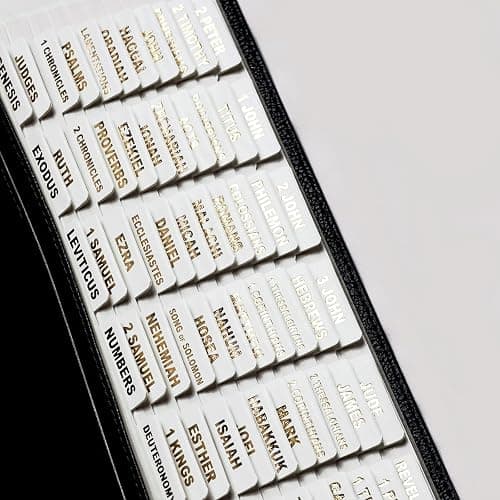 UPAFEXXI-Leather Bible Tabs, Bible Tabs for Women and Men(Gold Foil Lettering) Large Print Stickers, Easy to Read and Apply, 80 Chapters Labels for Easy Navigation(White) - Image 1