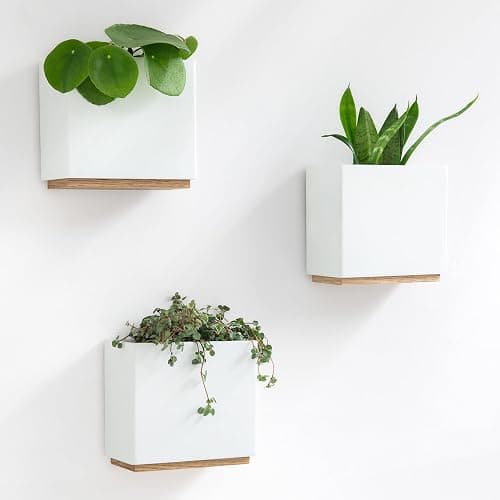 Kazai. Wandvasen -Alma- | Moderne Hängende Blumentöpfe für die Wand | 3-teiliges Übertopf-Set aus hochwertigem Resin für Zimmerpflanzen, Kunstpflanzen, Blumen u.m. | Weiss - Image 1