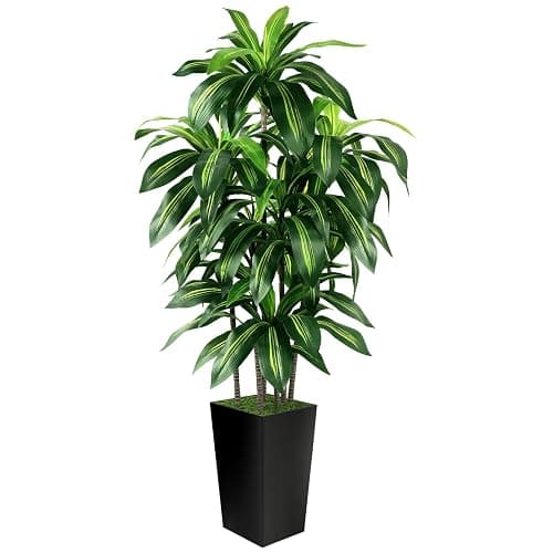 Artificial Dracaena Tree Indoor, 5FT Tall Fake Tree with Black Tall Planter, Artificial Trees Fake Yucca Potted Tree for Home Office Living Room Decor, Tall Artificial Plant for Housewarming - Image 1