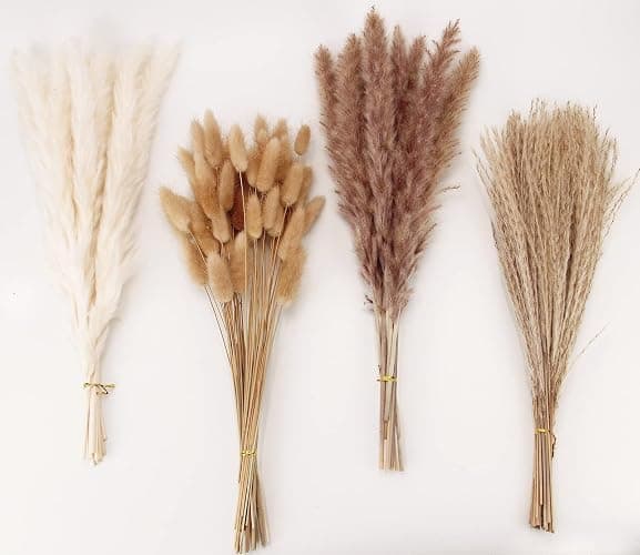 Dried Pampas Grass Decor, 100 Stems Pampas Grass Contains Bunny Tails Dried Flowers, Reed Grass Bouquet for Wedding Boho Flowers Home Table Decor, Rustic Farmhouse Party (17", White and Brown) - 100PCS - Image 1