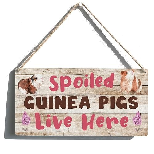 Qious Spoiled Guinea Pigs Live Here Sign Farmhouse Lovely Guinea Pigs Wooden Hanging Sign Plaque Rustic Wall Art Decor Home Decoration 12 x 6 Inches - Image 1