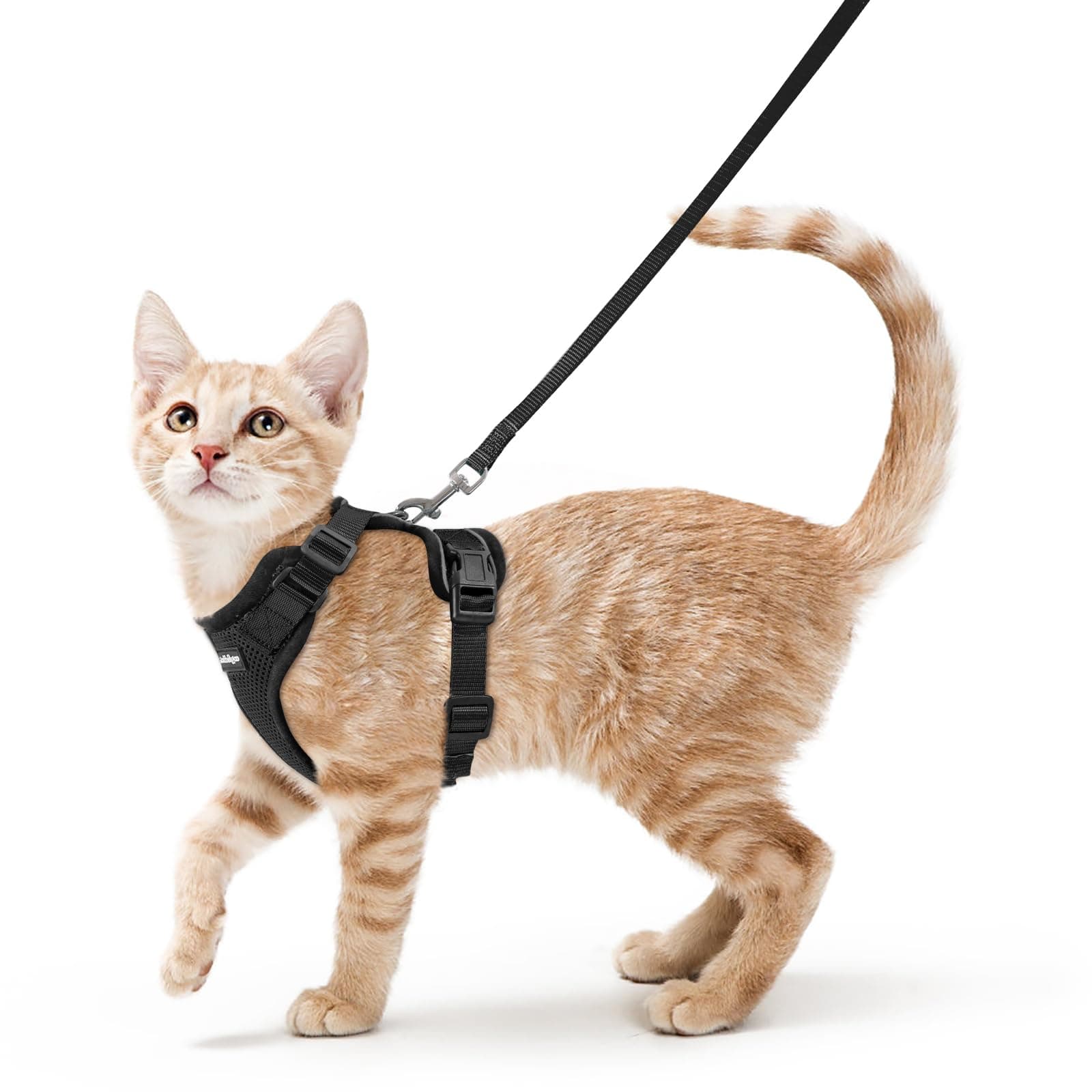 rabbitgoo Cat Harness and Leash for Walking, Escape Proof Soft Adjustable Vest Harnesses for Cats, Easy Control Breathable Reflective Strips Jacket, Black, XS - Image 1