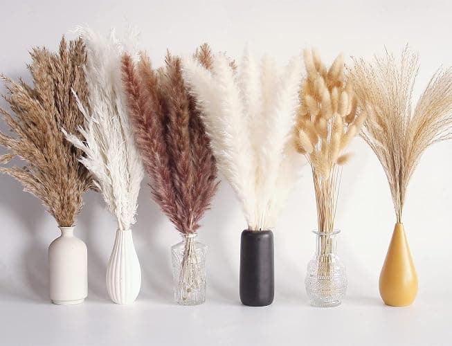 110 PCS Dried Pampas Grass Bouquet, Boho Table Decor, Bunny Tails Dried Flowers, Brown Pompas, White Pampas Grass for Wedding, Home, Rustic Party, Baby Shower Decorations - Image 1