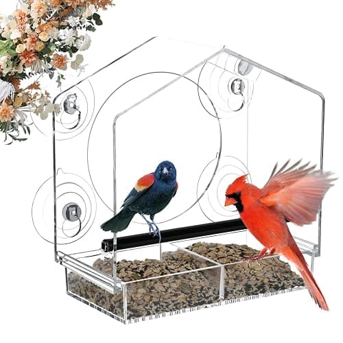 Jarkyfine Clear Window Bird Feeders with Strong Suction Cups for Viewing, Acrylic Bird Feeder Window for Cats with Removable Seed Tray, Easy to Clean and Refill, Gift for Elders and Cats. - Image 1