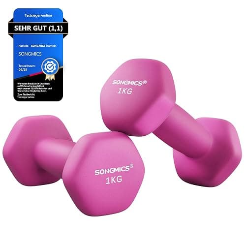 SONGMICS 2er Set Hanteln Hexagon Hanteln mit Neoprenüberzug für Krafttraining Fitness Training zu Hause - Image 1