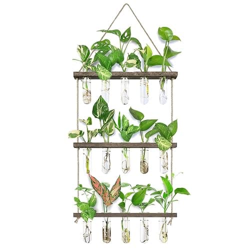 XXXFLOWER Wall Hanging Propagation Station with Wooden Stand 5 Glass Test Tubes 3 Tiered Planters Wall Terrarium for Home Office Plant Hanger Flower Vases Wall Decor Hydroponic Cuttings - Image 1
