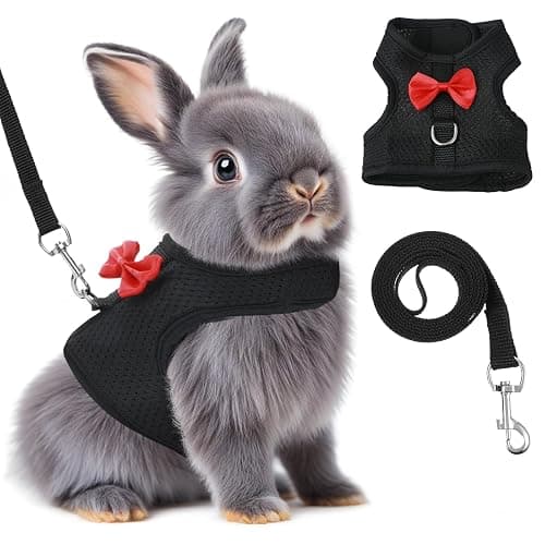 Bunny Harness and Leash Set, Soft Breathable Mesh Rabbit Leash Vest with Safety Buckles, Lightweight Escape-Proof Walking Gear for Rabbits, Kittens, Ferrets, Guinea Pigs, Black M - Image 1