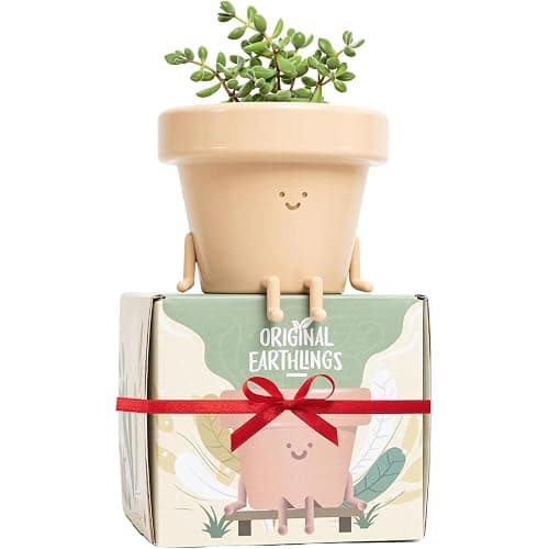 Original Earthlings Sitting Small Plant Pot - 4 Inch Cute Plant Pot - Succulent & Cactus Christmas Planters, Removable Drainage Plug, Cute Decor Plant Gifts for Plant Lovers, Teacher Gifts - Image 1