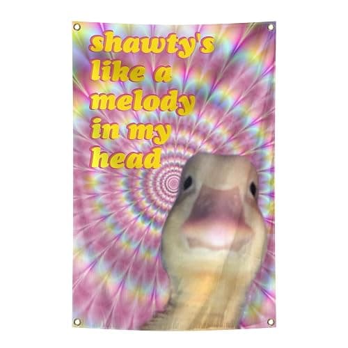 Duck Flag Shawty's Like A Melody In My Head Funny Flags 2x3Ft with Brass Grommets Meme Banner for College Dorm Room Man Cave Parties Decoration - Image 1