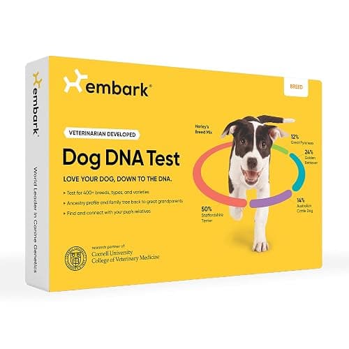 Embark Breed Identification Kit - Most Accurate Dog DNA Testing Kit - 99% Breed Ancestry Accuracy for Mixed Breed Dogs - Plus Relative Finder & Family Tree - Image 1