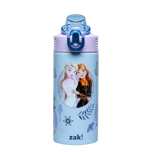 Zak Designs Disney Frozen Sage Kids Water Bottle For School or Travel, 14oz Stainless Steel Water Bottle With Straw, Handle, and Leak-Proof, Pop-Up Spout Cover (Anna & Elsa) - Image 1