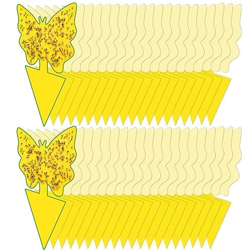 40 Pack Fungus Gnat Traps for House Indoor, Fungus Traps Fruit Fly Traps for Indoors Gnats Sticky Traps for Plants Yellow Sticky Traps for Gnats - Image 1