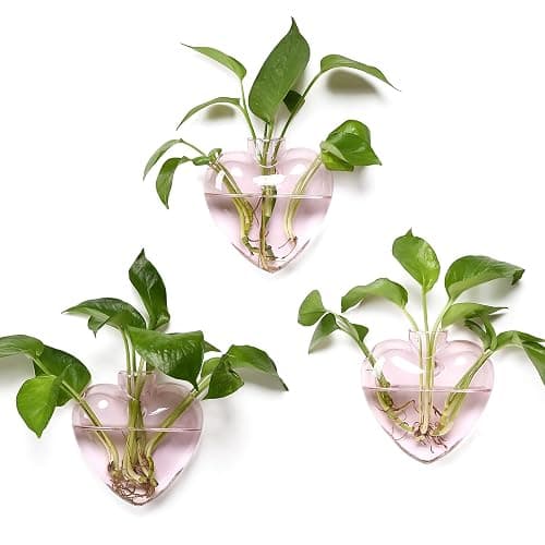 CYZglass Wall Hanging Planter Propagation Station for Indoor Plants Glass Vase Air Plant Holder Gift for Women Girlfriend Plant Lover - Image 1