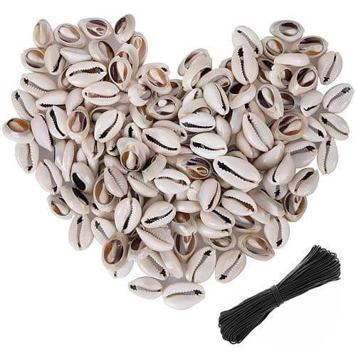150 PCS 0.63"-0.71" Natural Strong Cowrie Shell Beads Smooth Cut Oval Seashells, Beach Seashells with Big Hole for DIY Craft Jewelry Making, Adorning Hair Locks and Braids - Image 1