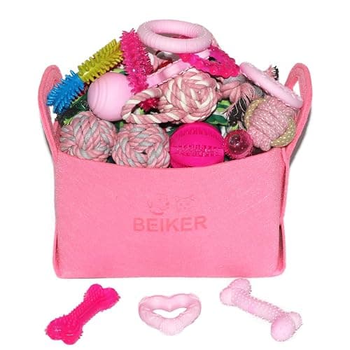 Beiker 20 Pack Pink Puppy Chew Toys - Dog Teething Toys for Puppies, Puppy Toys Toothbrush with Ropes, Soft Dogs Toy Bundle for Small Dogs, Cute Interactive Dog Balls for Chewers - Image 1