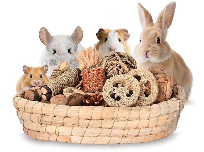 Twilumin 31PCS Rabbit Chew Treat Toys for Teeth Health, Natural Bunny Enrichment Toys for Boredom & Stress Relief, Keep Busy Toys for Guinea Pig Chinchilla Hamster Rat Gerbil Degu Indoor Outdoor - Image 1