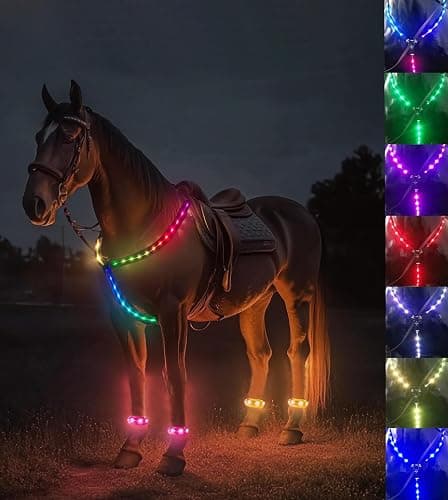 5pcs 7 Colors in 1 LED Horse Tack Set, USB Rechargeable Light up Breastplate Collar & Leg Band, Adjustable Equestrian Visble Safety Gear for Night Horse Riding - Image 1