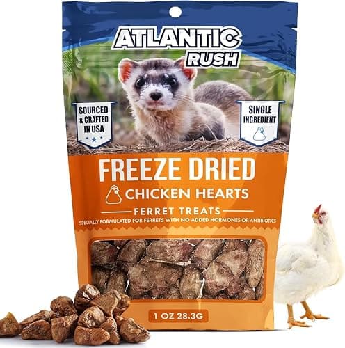 Freeze Dried Small Pet Treats - Resealable Bag of Treats for Ferrets - Ferret Snacks - Single Ingredient Ferret Food With No Preservatives Or Fillers- Small Animals Treats (1oz, chicken Heart) - Image 1