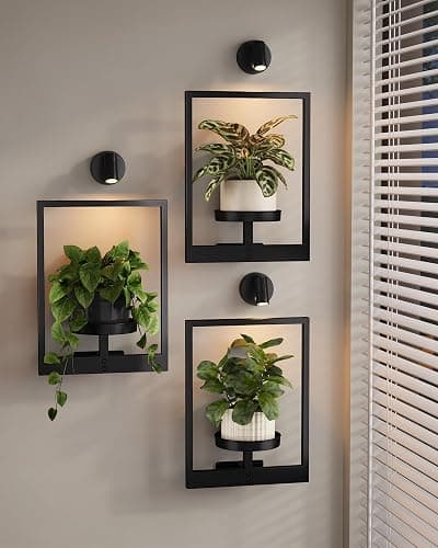 Bamworld Hanging Planters for Indoor Plants Wall Decor Living Room Light | Plant Stand Indoor Wall Planters Plant Hanger Window Plant Shelves 3-Packs with Lights - Image 1