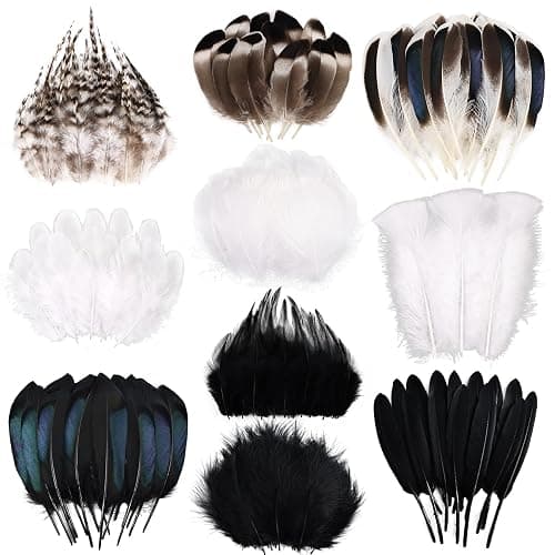 FeelfunFeather 300 pcs Small Feathers - 10 Style Mixed Spotted Decorative Natual Pheasant Feather for DIY Crafts Clothing Jewelry Hair Decoration(Natural,Black,White) - Image 1