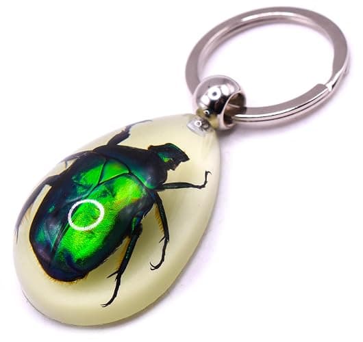 HQRP-Crystal 45mm Real Emerald Green Chafer Beetle in Glow in The Dark Lucite Keychain Insect Animal Taxidermy Sample Inside for Biology Science Education Decoration Tear Drop Key Ring Chain Pendant - Image 1