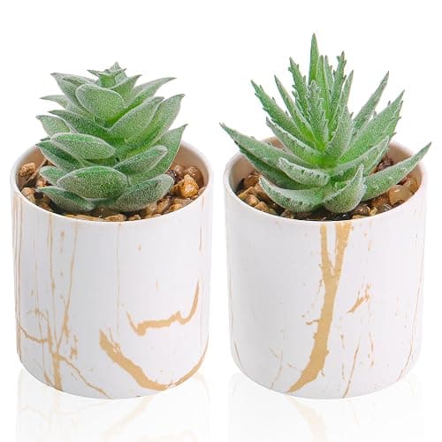 Der Rose Set of 2 Succulents Plants Artificial Mini Fake Succulents Plants for Home Office Desk Accessories for Women - Image 1