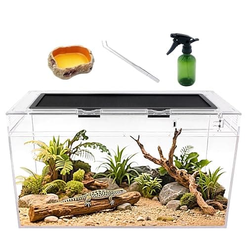 Reptile Growth Reptile Terrarium Kit, Reptile Tank 20" x 10"x 11", with Stainless Steel Tweezer, Spray Bottles,Water Food Bowl,Terrarium Reptile for Gecko Hermit Crab Bearded Dragon Lizard - Image 1