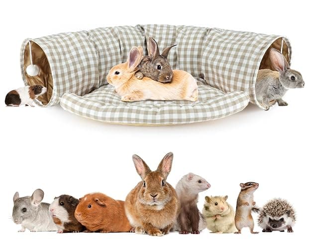 BWOGUE Bunny Tunnel Bed, 2-in-1 Collapsible Tunnel Tubes Toys with Removable Mat Hideout for Cats Kittens Rabbits Guinea Pigs Kitty - Image 1
